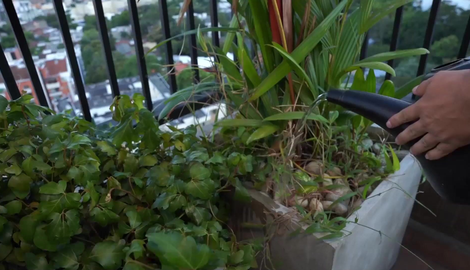 Young woman enjoys a good fuck outdoors with her gardener spotlighting Judith Cox, Pax 2026/FullHD