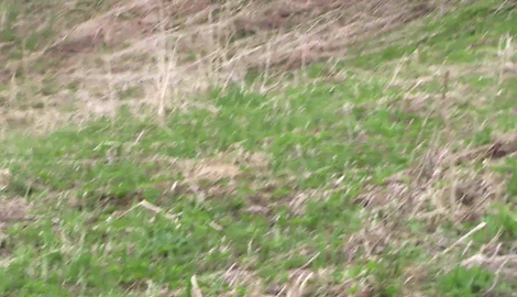 I'm watching a MILF with a gorgeous ass in a public park. She's sunbathing and masturbating outdoors. PAWG. 2026/FullHD