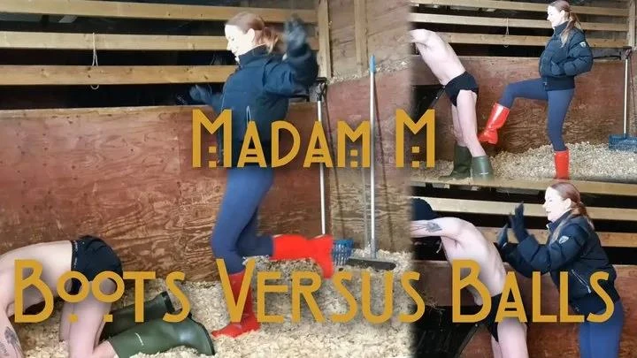 Boots Versus Balls extremely hard Hunters Wellingtons ballbusting in the stables with Madam M