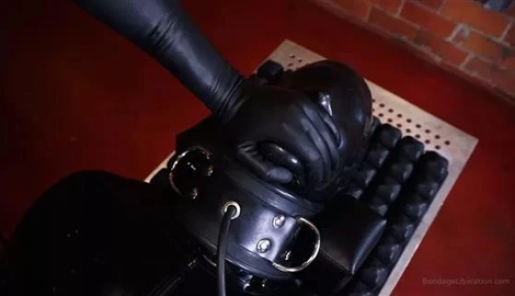 Encased in Rubber with Elise Graves
