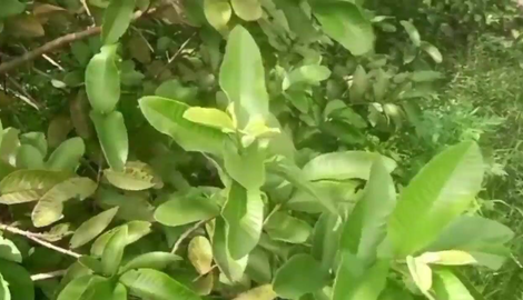 Indian beauty aunty sex in village man exclusive with saanthi2, Vetrivel 2026/HD