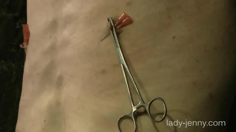 Lady Jenny – Whip, Needles, Electro 3-2 - 2023/HD