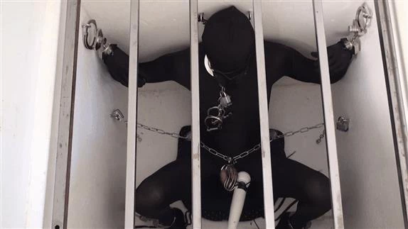 by Carlin with Cage Fantasy - 2025/HD