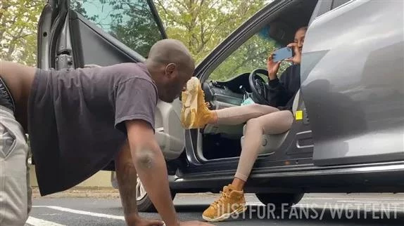 New Model Alert - 2025/HD