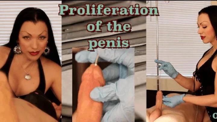 OpulentFetish - Part 1. Proliferation of the Penis - 2025/HD