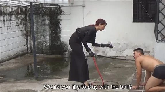 Goddess Joanna In Scene - Doggie Training 101 with Latin Beauties In High Heels - 2025/HD