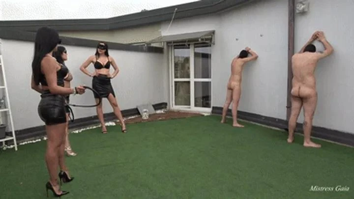 Whipping The Wall with Mistress Gaia - 2025/FullHD