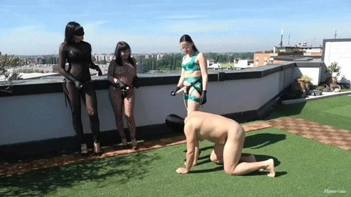 You Beg To Be Fucked with Mistress Gaia - 2025/FullHD