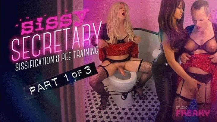 Studio Freaky - Toilet Training 101! with Mistress Stellina Obscura - 2026/FullHD