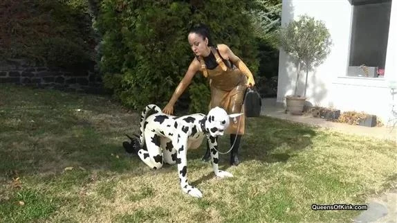 Latex cow inspected and fucked stage 1 - Fetish Liza and Natalie Goth TV with Queens of Kink - 2026/FullHD